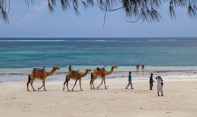 DIANI BEACH KENYA